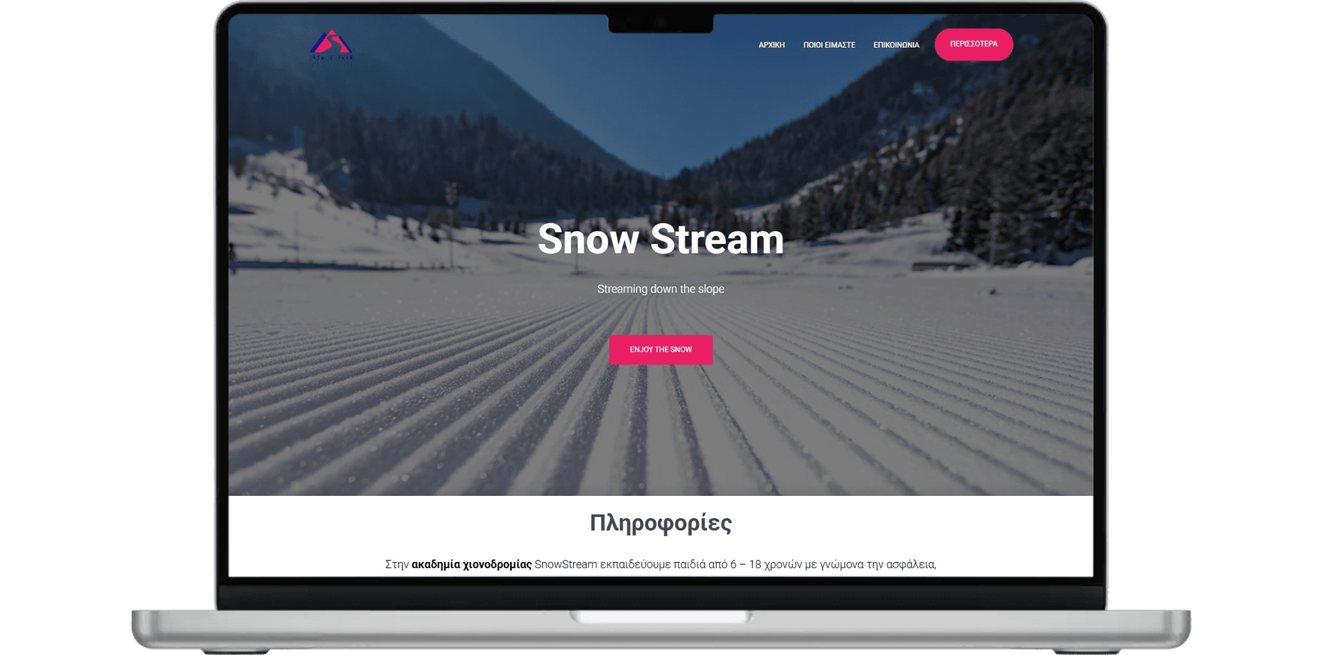 Website preview on laptop